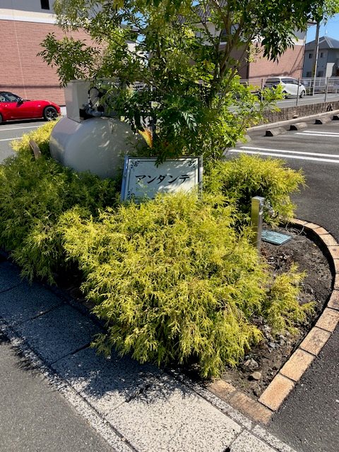 アンダンテ　Ａ その他外観6