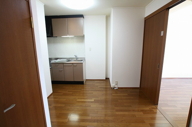 ドリームハイツA その他12