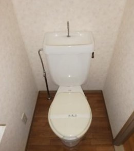 ステラ・ベル その他1