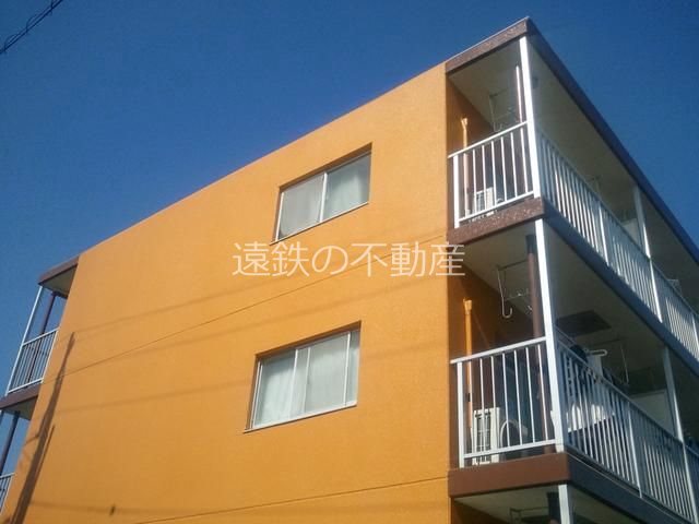 コスモス18 その他12