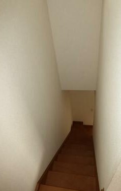 メイプルトゥリー その他部屋・スペース