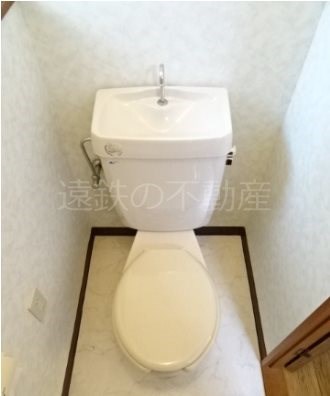 プレジオグリーン その他2
