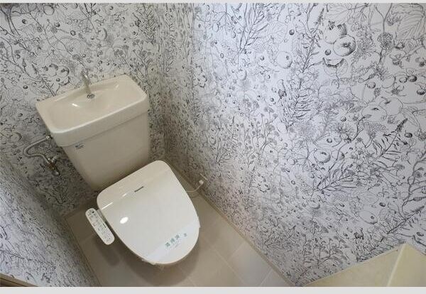 アネシスⅠ その他2