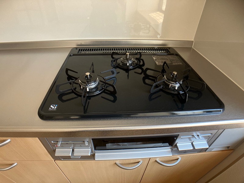 アネシスⅠ その他4