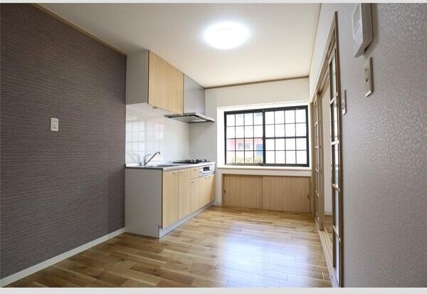 アネシスⅠ その他7