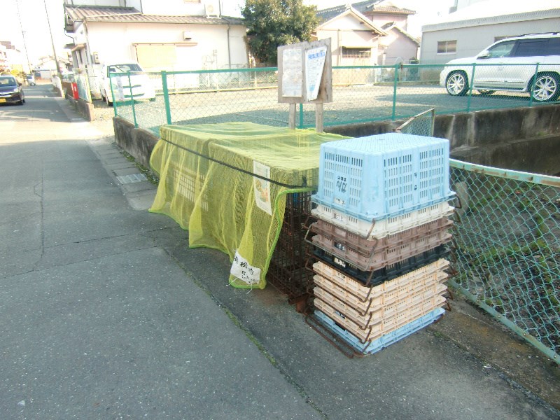 グランパレⅡ その他外観1