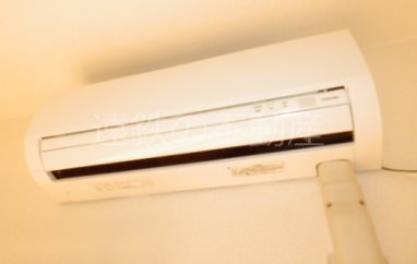 ミルフォード その他4