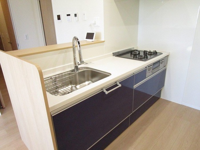 プレシャス初生 キッチン