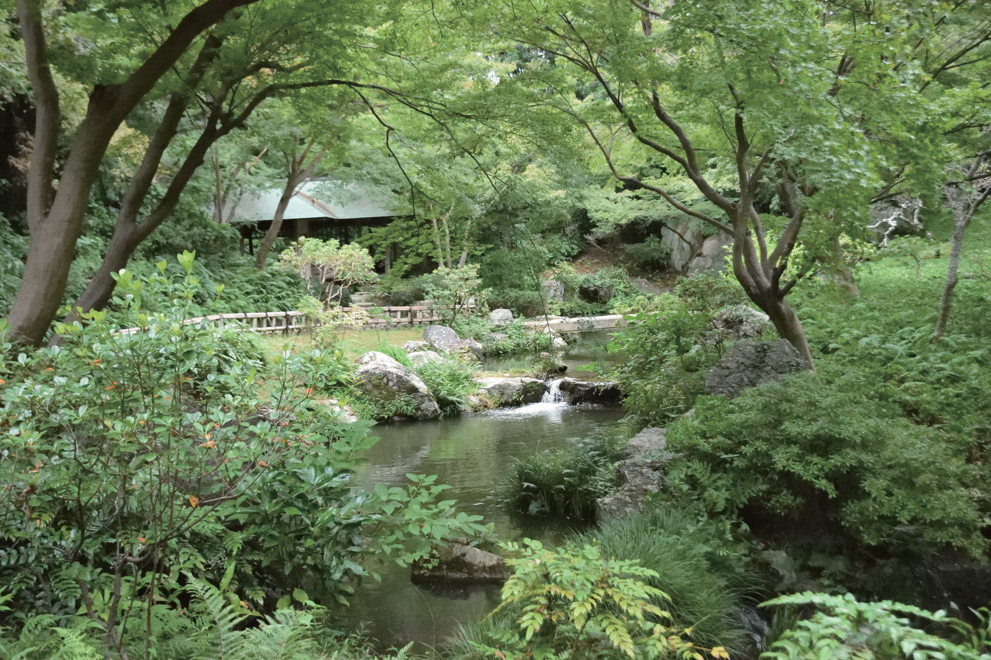 ツルビル 公園