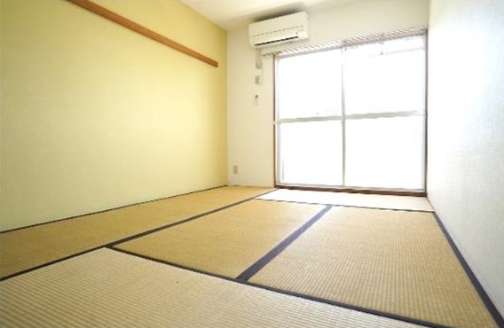 サイプレス その他6