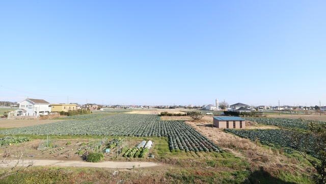 ライフパーク川袋 眺望
