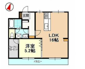 平和ハイツE 302号室 間取り