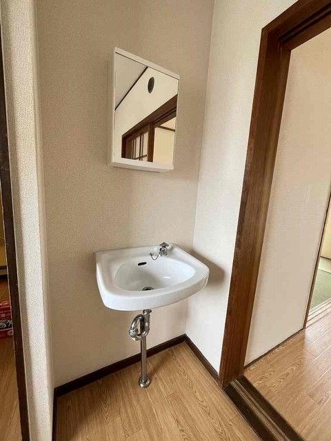 サンフラワー その他1