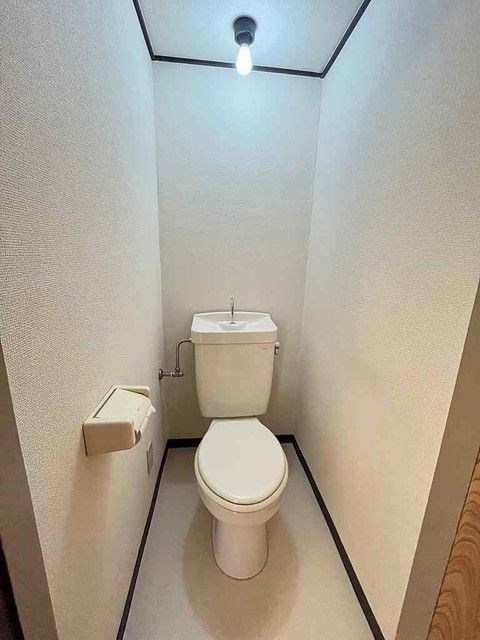 サンフラワー その他2