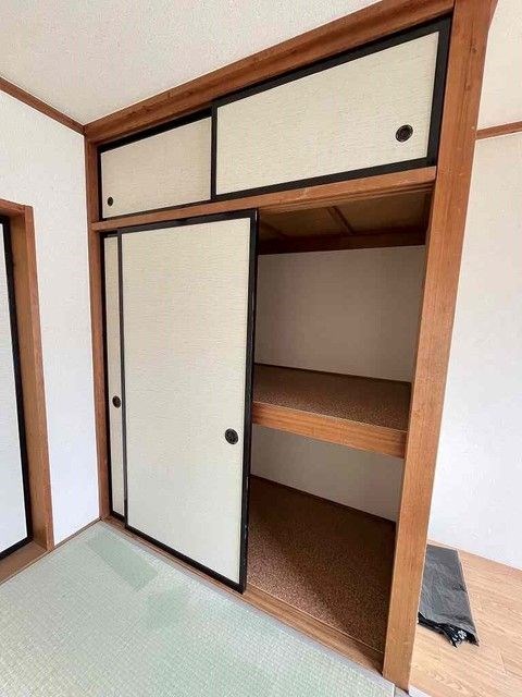 サンフラワー その他3