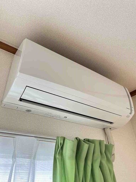 サンフラワー その他4