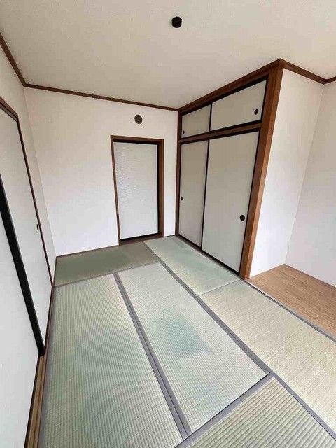 サンフラワー その他10