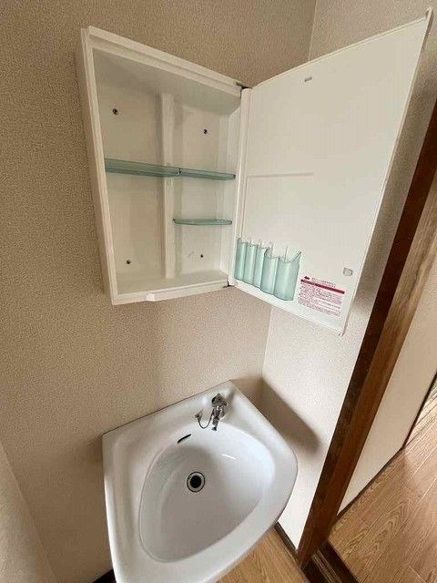 サンフラワー その他13