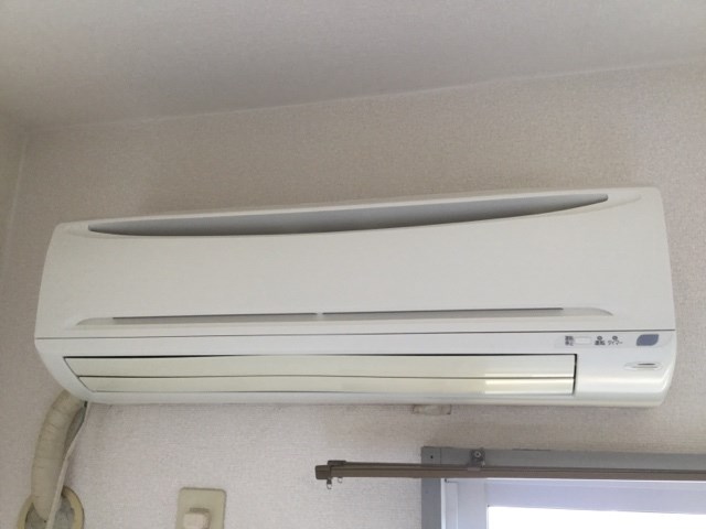 カトレアⅢ その他5