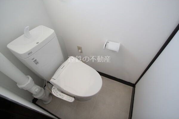 セントポーリア蜆塚 その他2