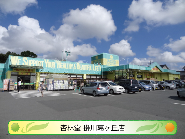上西郷貸家 ドラッグストア