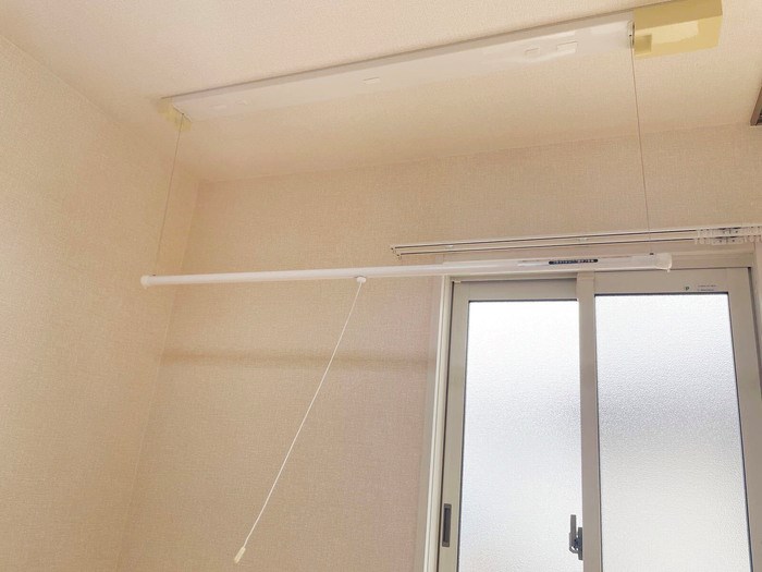 Ｗｏｏｄｓ その他4