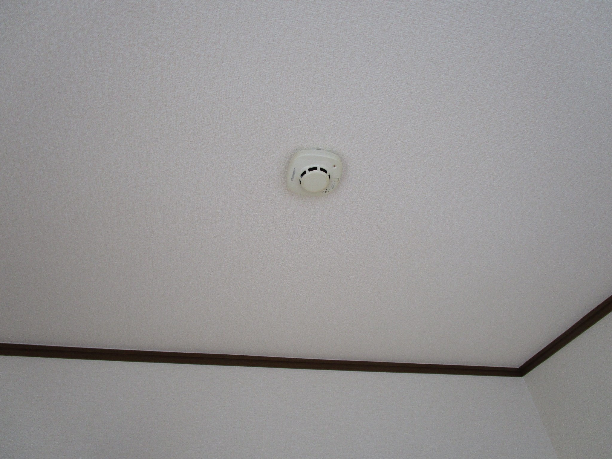 四ツ池マンション その他18