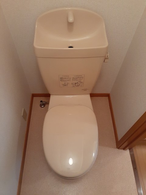 エコパッション　Ⅱ その他2