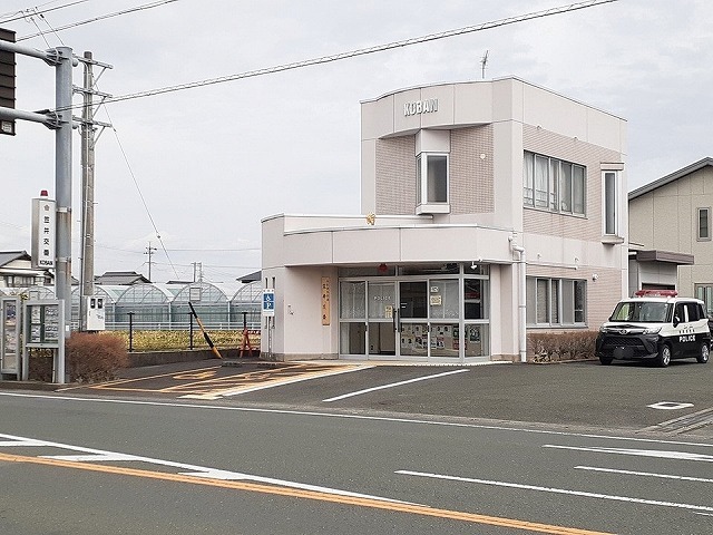 パイン　アイランド その他外観5