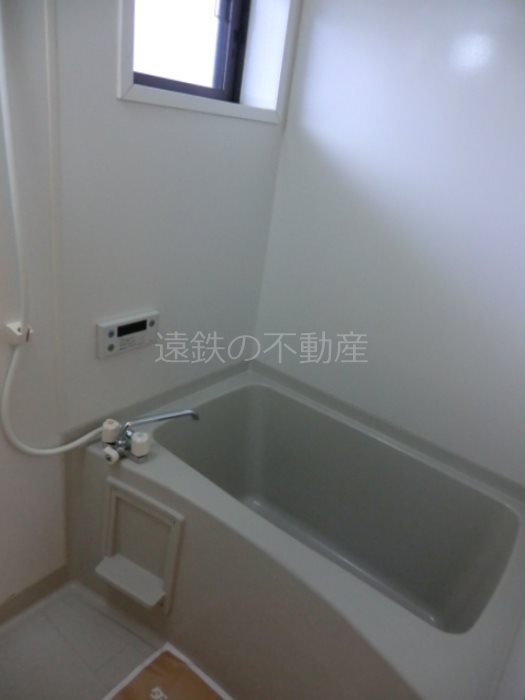 Ａｚａｌｅａ．０５ その他14