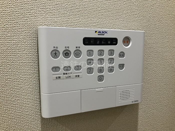 D-Hills元魚 その他5
