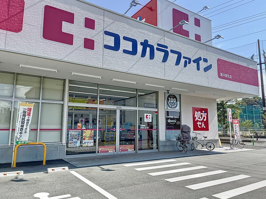マンションサザン ドラッグストア