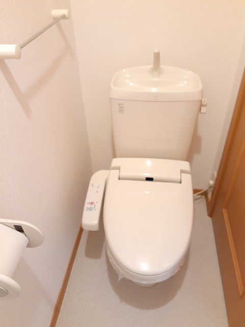 プラシードⅠ その他2