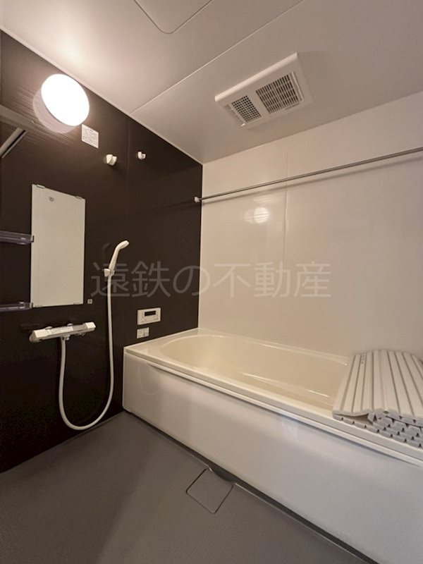 田畑ハイツルシアスⅧ 風呂画像