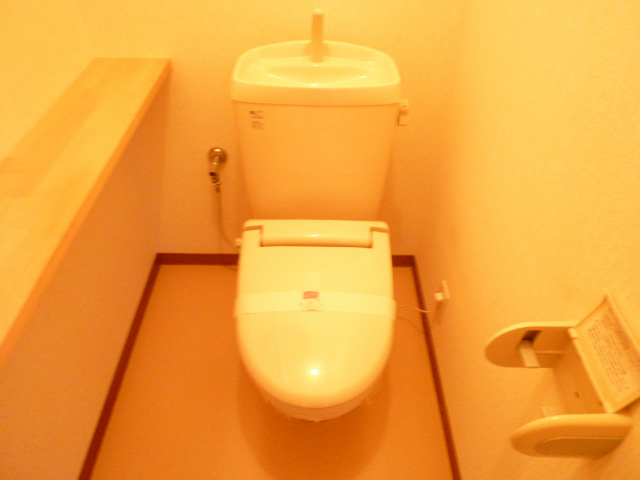 STAR DREAM その他1