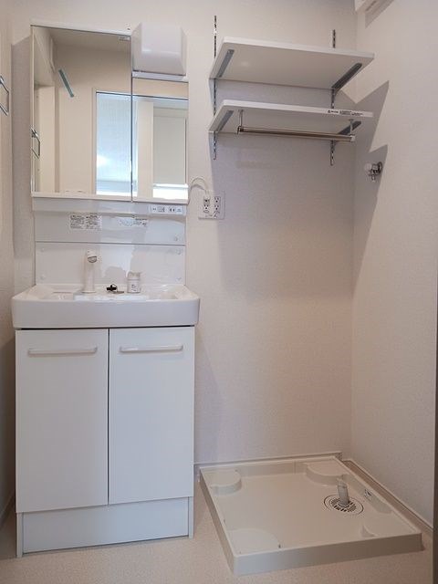 フェリスⅤ その他1