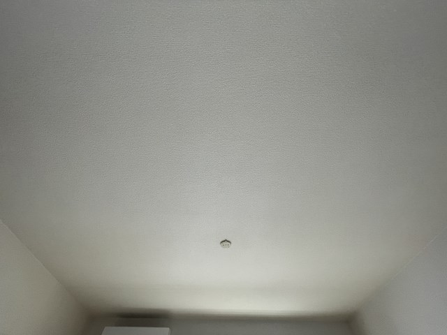 ブランナール泉 その他34