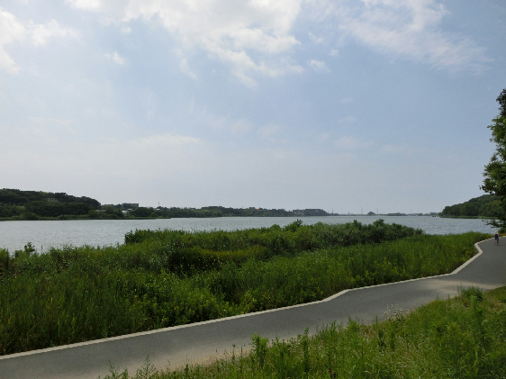 佐鳴湖パークタウンサウス（店舗棟南） 公園