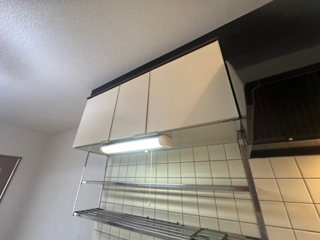 スカイウィング その他11