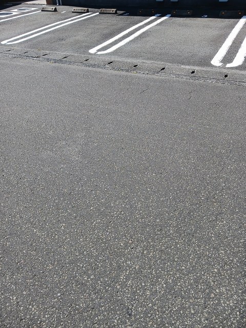 フェリス・メグ その他4