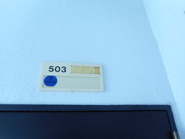 マンションロイヤルアイリス その他11