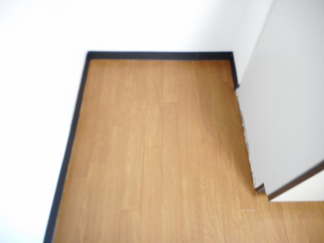 マンションロイヤルアイリス その他28