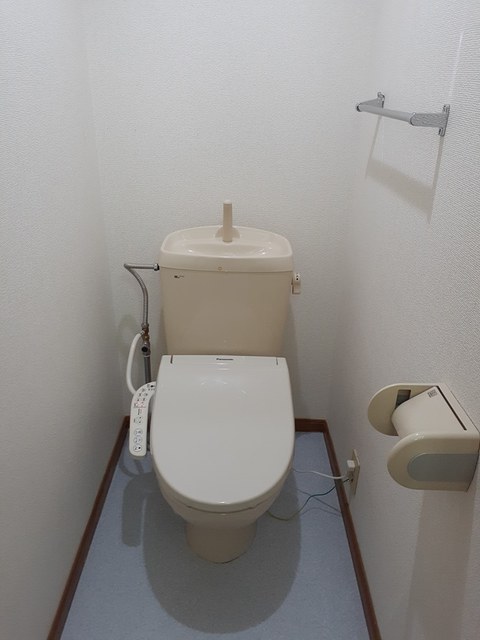 カモミール その他2