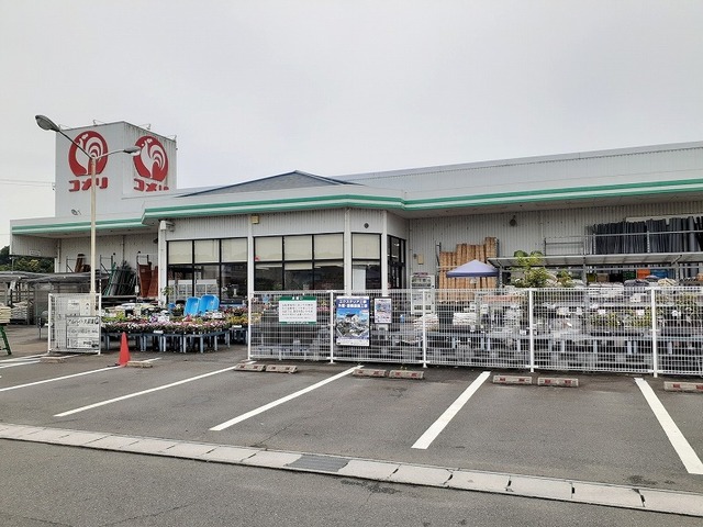 カモミール その他外観3