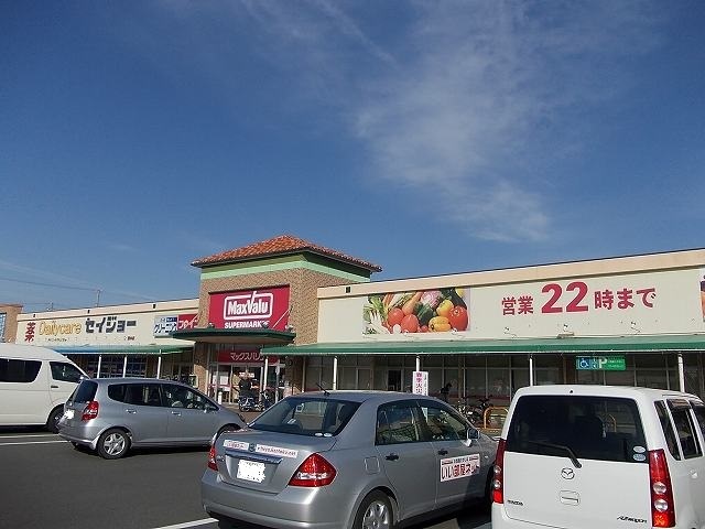 カモミール その他外観4