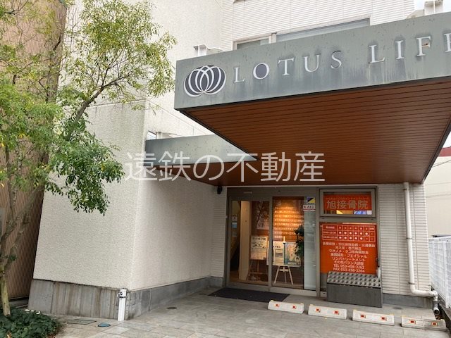 ロータスライフビル その他