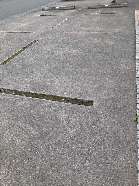 サンスターズ その他4