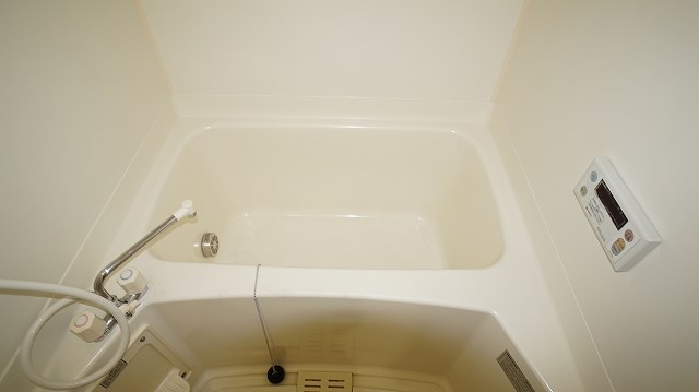 マンションマスカット その他7