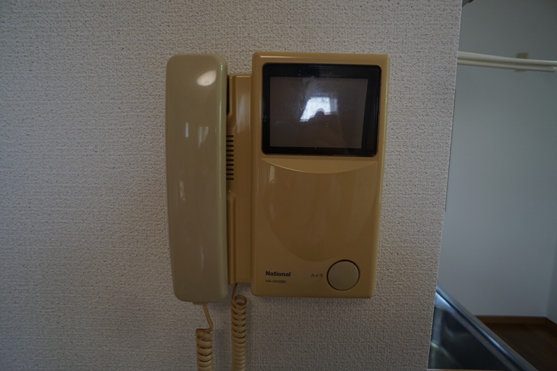 ドリーム・アオイ その他4