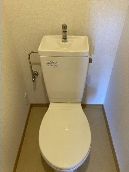 コーポラスヤング その他1